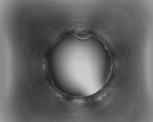 X0000111170914200907011346