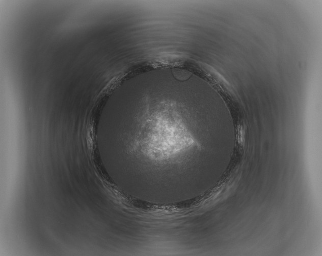 X0000111170915200907011346