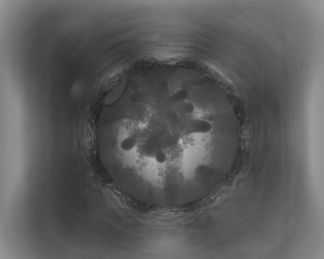 X0000111170917200907011346