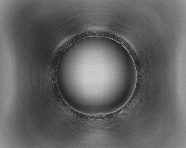 X0000111170919200907011346