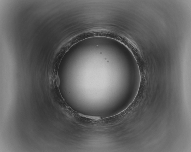 X0000111170920200907011346