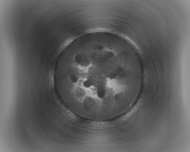 X0000111170921200907011346