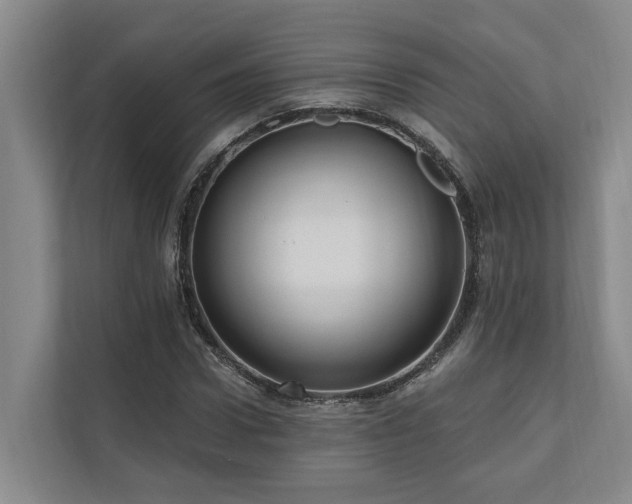 X0000111170922200907011346