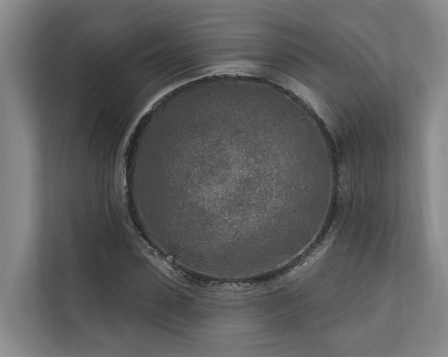 X0000111170923200907011346