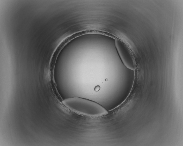 X0000111170924200907011346