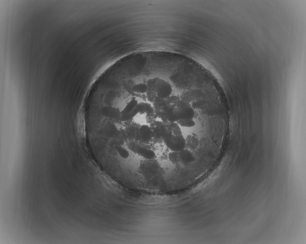 X0000111170925200907011346