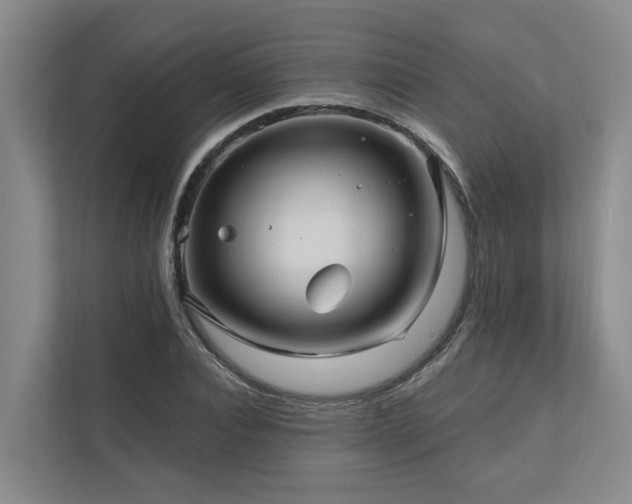 X0000111170928200907011346