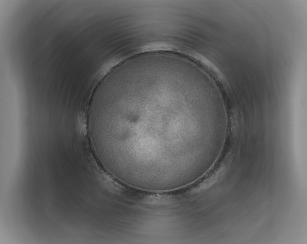 X0000111170929200907011346