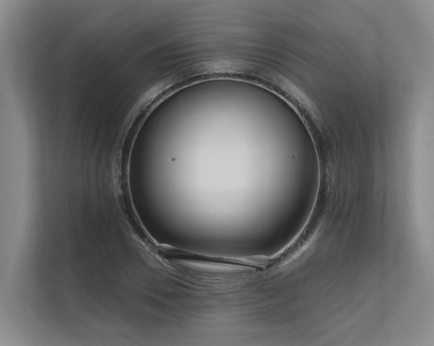 X0000111170930200907011346