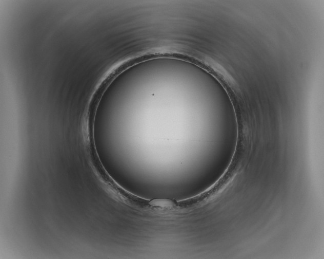 X0000111170934200907011346