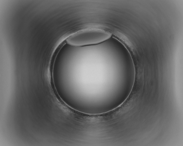 X0000111170936200907011346