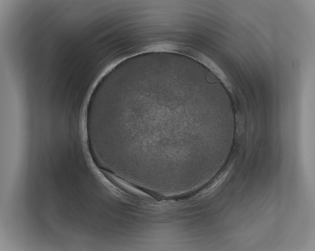 X0000111170939200907011346