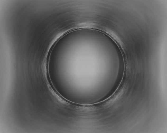 X0000111170941200907011346