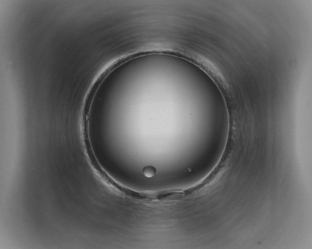 X0000111170942200907011347