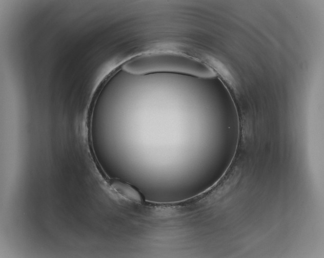 X0000111170944200907011347