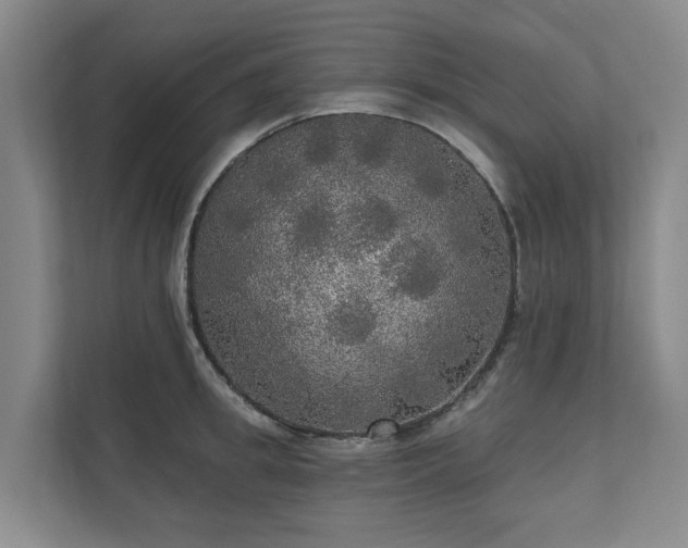 X0000111170949200907011347