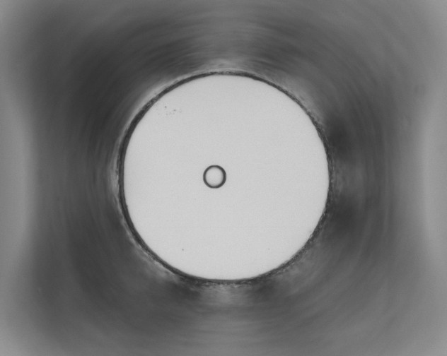 X0000111170950200907011347