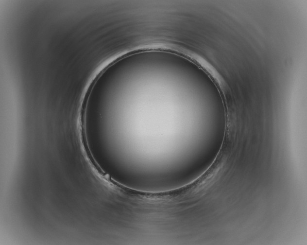 X0000111170951200907011347