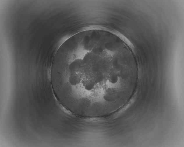 X0000111170953200907011347