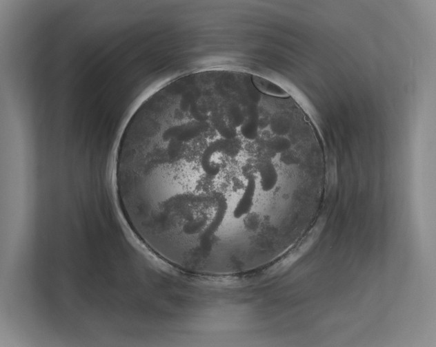 X0000111170957200907011347