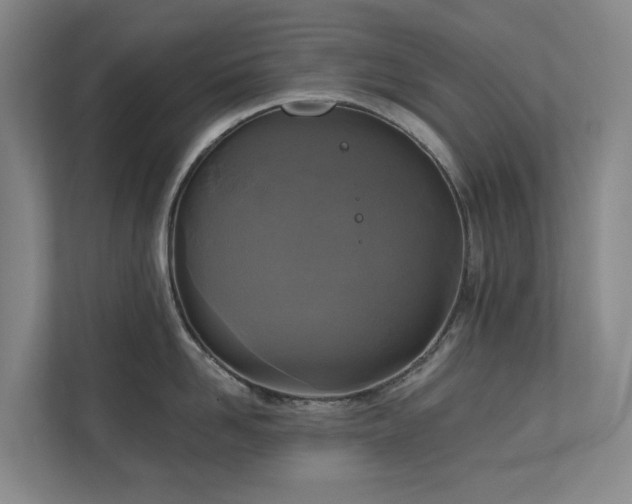 X0000111170958200907011347