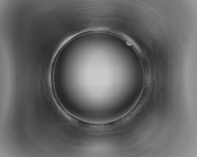 X0000111170959200907011347