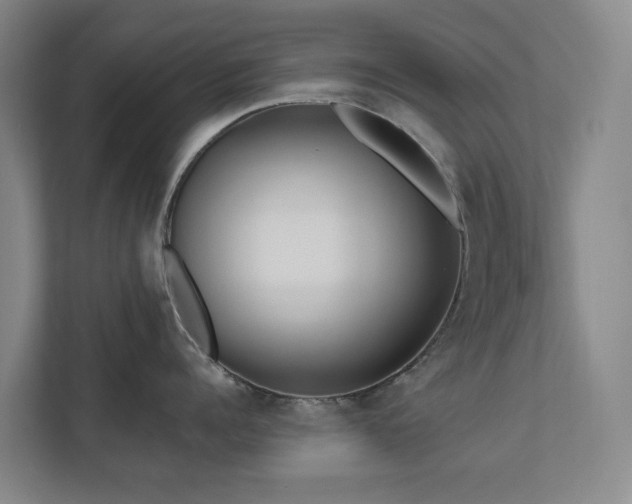 X0000111170960200907011347