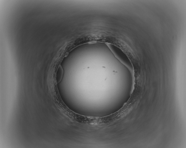 X0000111170961200907011346