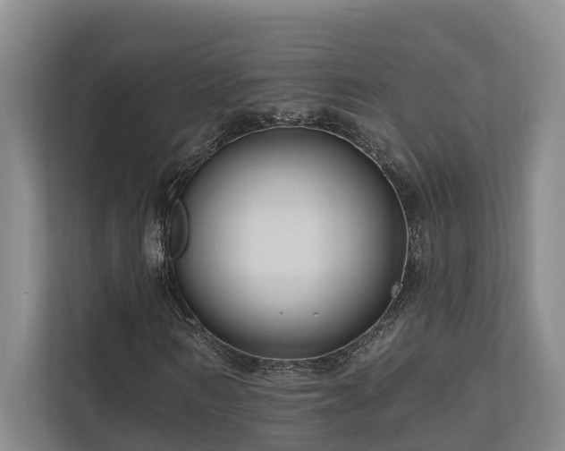 X0000111170962200907011346