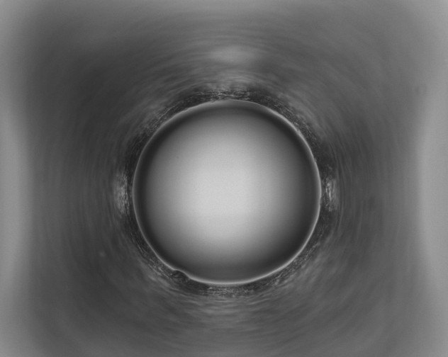 X0000111170963200907011346