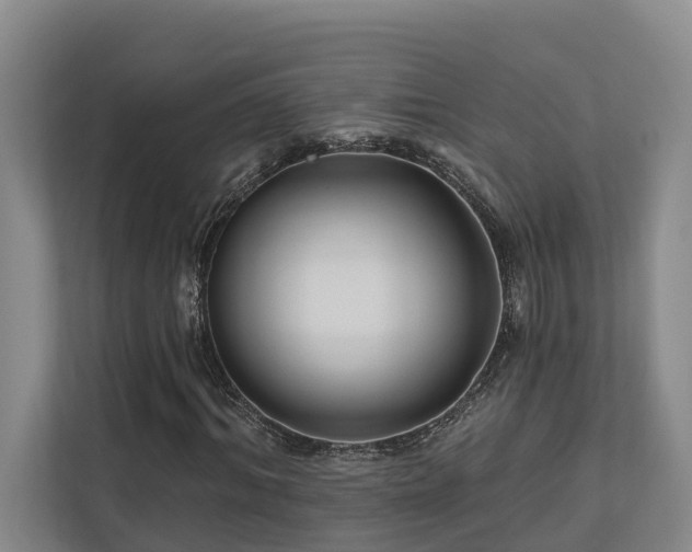 X0000111170964200907011346