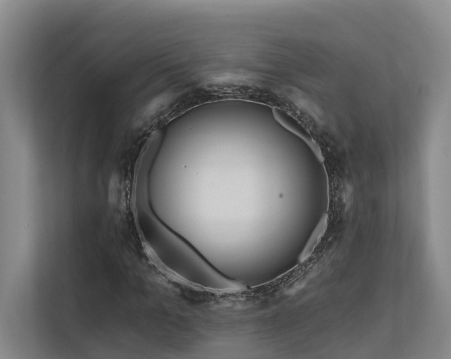 X0000111170965200907011346