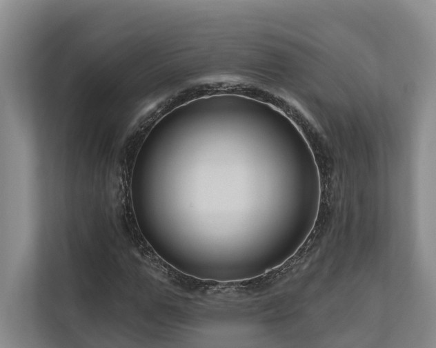 X0000111170967200907011346