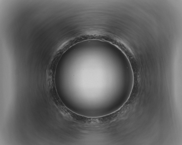 X0000111170968200907011346