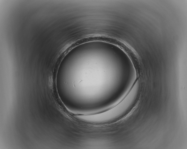 X0000111170969200907011346