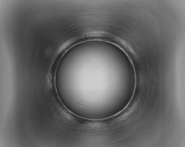 X0000111170970200907011346