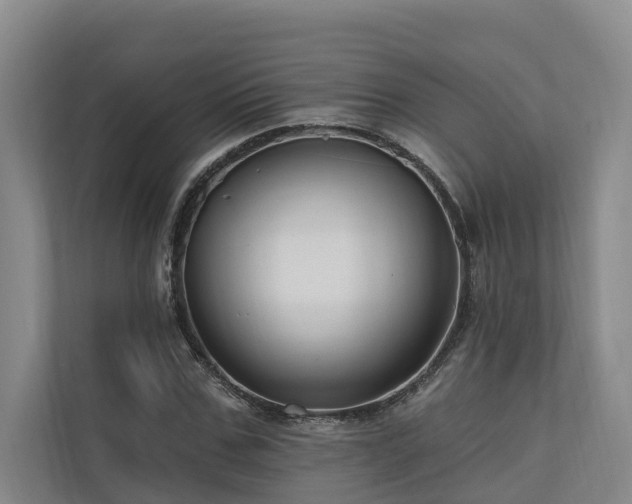 X0000111170971200907011346