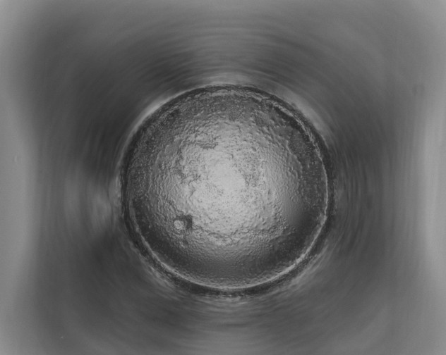 X0000111170975200907011346