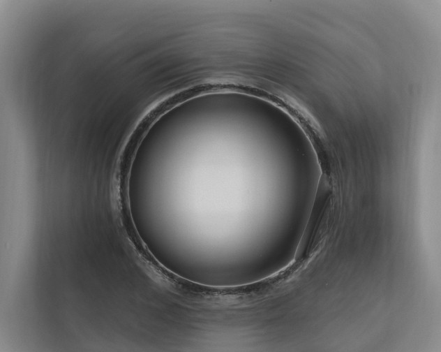 X0000111170976200907011346