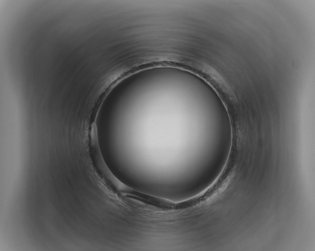 X0000111170977200907011346