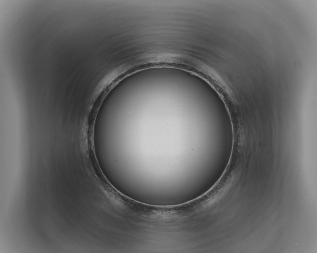 X0000111170978200907011346