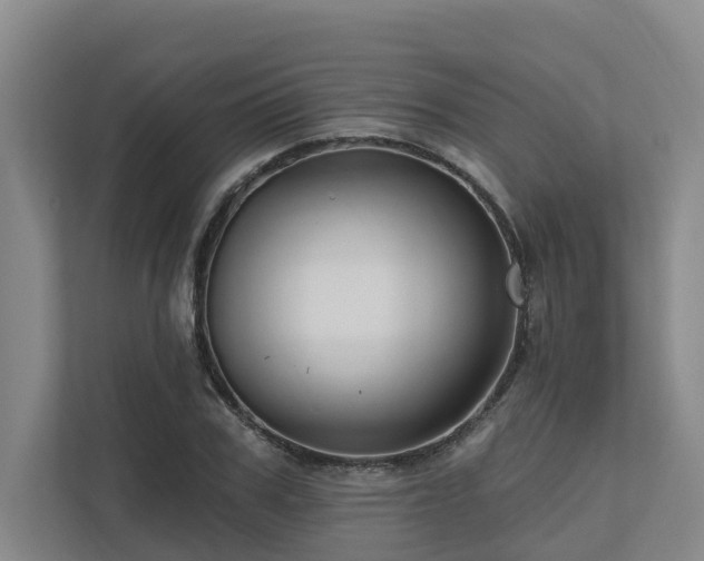 X0000111170979200907011346