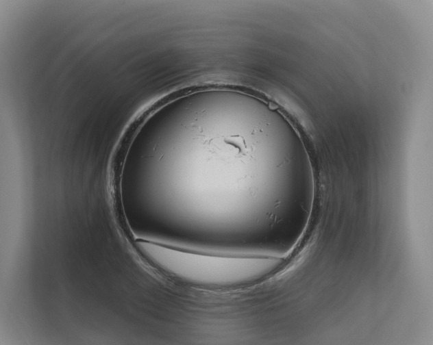 X0000111170981200907011346