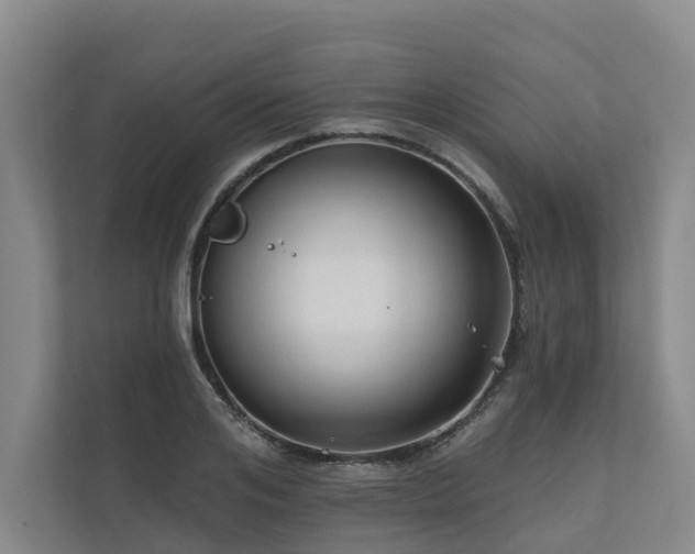 X0000111170984200907011346