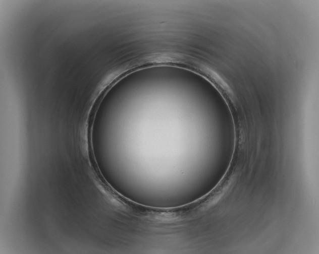 X0000111170986200907011346