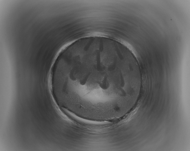 X0000111170987200907011346