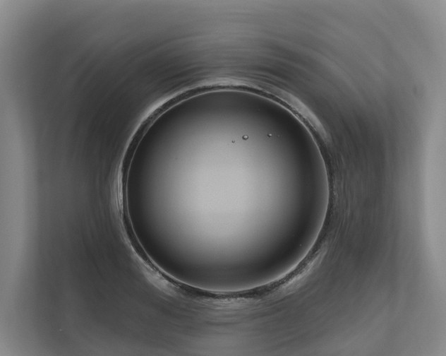 X0000111170988200907011346