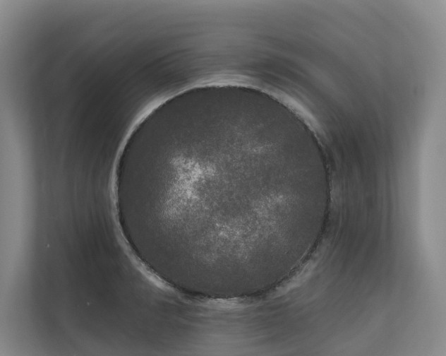 X0000111170990200907011346