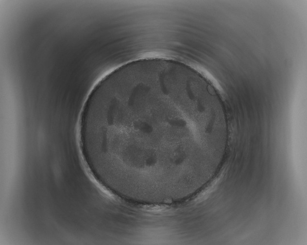 X0000111170991200907011346