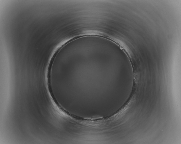 X0000111170995200907011346